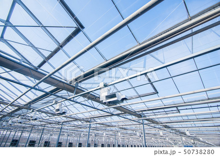 the roof in the greenhouse the roof in the greenhouse 50738280