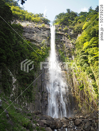 那智の大滝 50739216