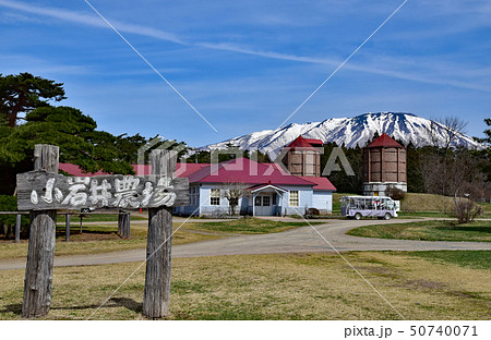 小岩井農場 50740071