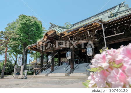 妙法寺 (杉並区) 妙法寺 (杉並区) 50740129