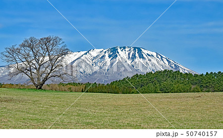 小岩井農場 50740157