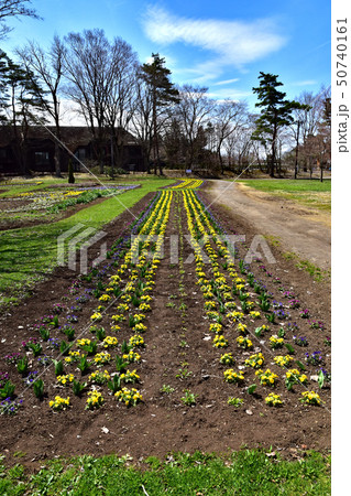 小岩井農場 50740161