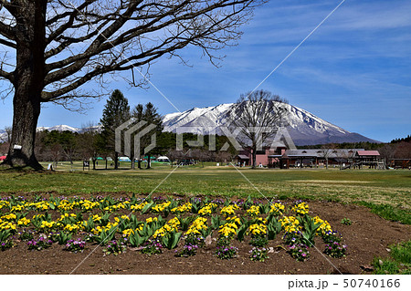 小岩井農場 50740166