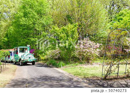 ぐんまフラワーパーク・チュウチュウトレイン 50740273