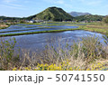 信州の田植え 信州の田植え 50741550