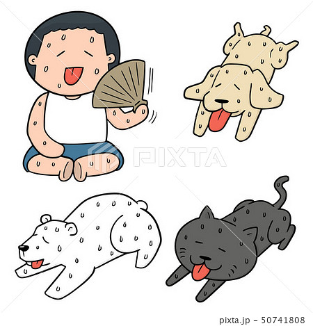 vector set of hot weather 50741808