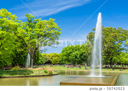 東京 春の代々木公園 東京 春の代々木公園 50742023