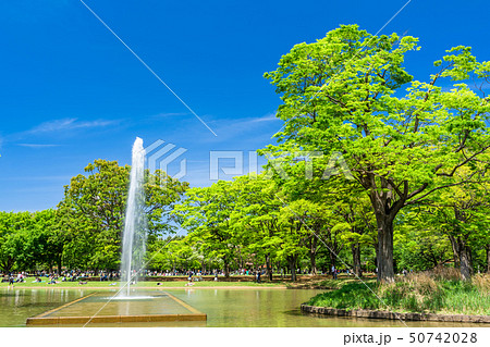 東京　春の代々木公園 50742028