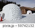 信州飯山のかまくら 信州飯山のかまくら 50742132