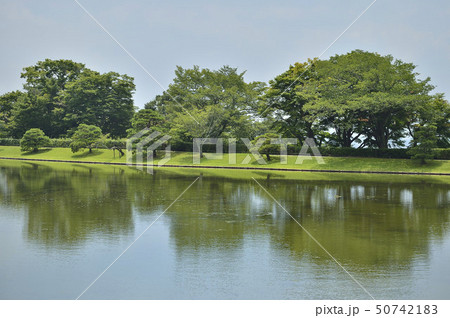 修学院離宮　浴龍池　西浜 50742183