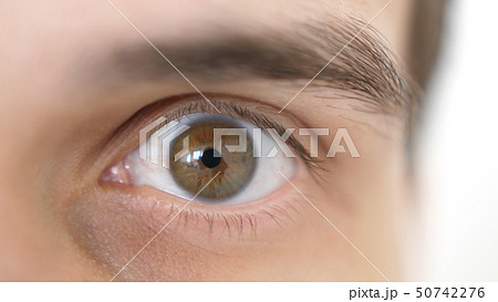 Close-up of a surprised emotional man with brown eye Close-up of a surprised emotional man with brown eye 50742276
