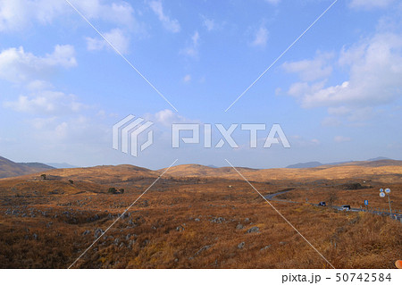 秋吉台　カルスト台地の冬 50742584
