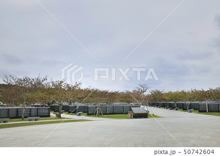 平和の礎 沖縄平和祈念公園 平和の礎 沖縄平和祈念公園 50742604