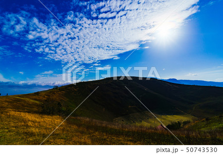 [静岡県] 伊豆高原の自然 大室山 50743530