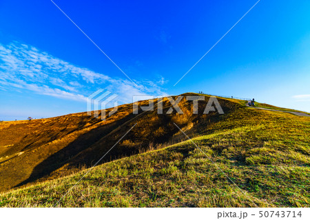 [静岡県] 伊豆高原の自然 大室山 50743714