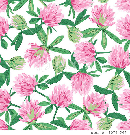 Floral seamless pattern with red clover. 50744245
