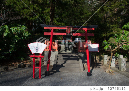白浜神社 白浜神社 50746112