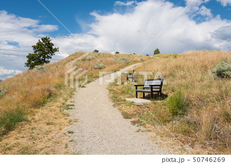Vacant benches along a mountain pathway to the top. 50746269