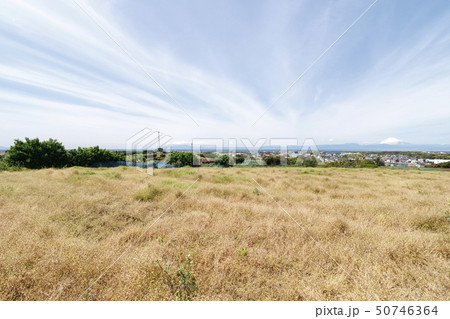 畑(春) 畑(春) 50746364