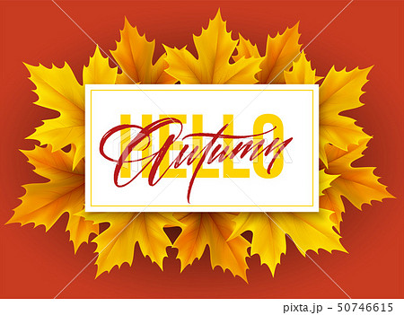 Autumn poster with lettering and yellow autumn maple leaves. Vector illustration 50746615
