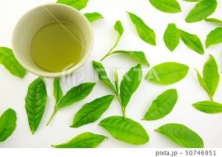 新茶と茶葉 新茶と茶葉 50746951