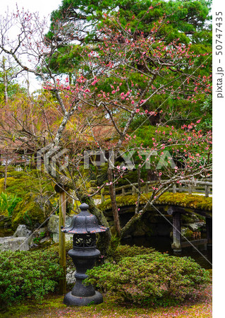 京都御所 (kyoto imperial palace) 御内庭 50747435
