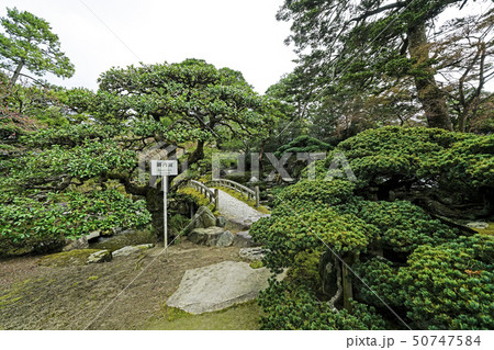 京都御所　(kyoto imperial palace)  御内庭 50747584
