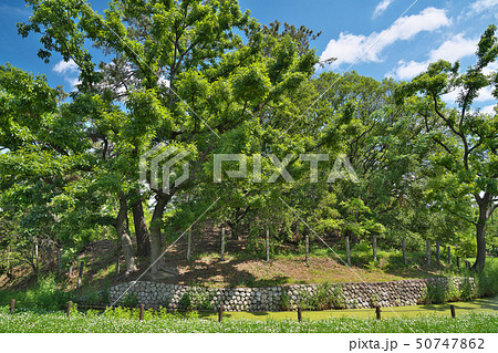 【竜佐山古墳】 大阪府堺市堺区大仙中町 【竜佐山古墳】 大阪府堺市堺区大仙中町 50747862