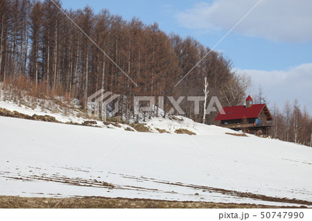 残雪の丘_富良野 50747990