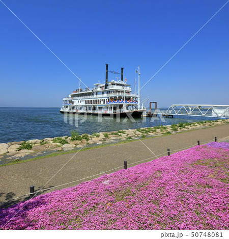 琵琶湖 観光 外輪船 2018( 大津湖岸なぎさ公園 ) 琵琶湖 観光 外輪船 2018( 大津湖岸なぎさ公園 ) 50748081