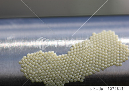 ヨトウムシの卵03の写真素材