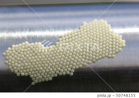 ヨトウムシの卵04の写真素材