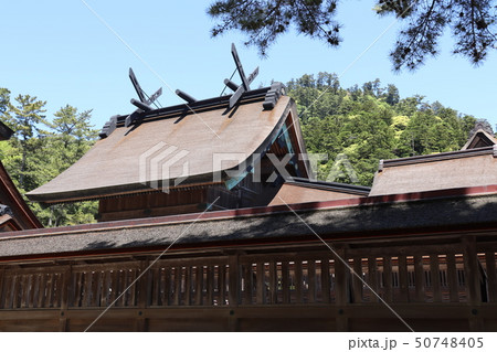 出雲大社御本殿 50748405