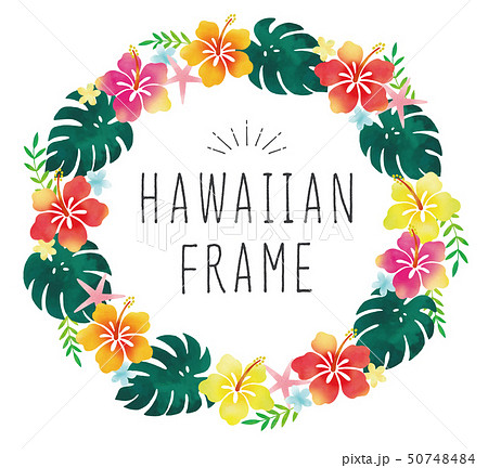 綺麗なハワイアン イラスト 素材 無料 ただのディズニー画像