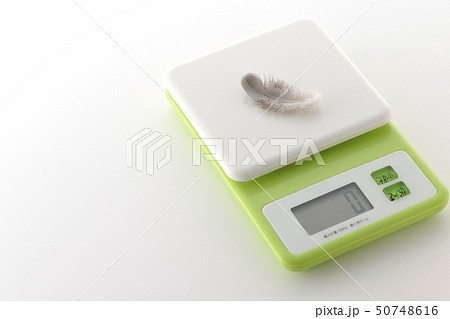 羽根と量り 羽根と量り 50748616