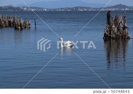 宍道湖と松江の風景 50748643