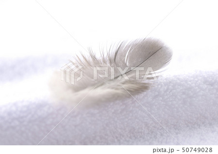柔らかさと軽さをイメージ 50749028