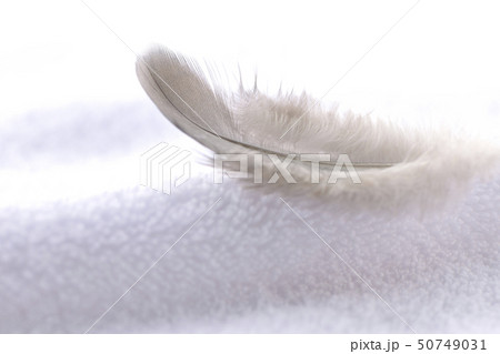 柔らかさと軽さをイメージ 50749031