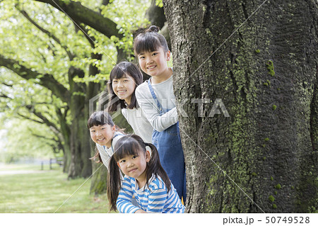 木の陰から顔を出す子供達 50749528