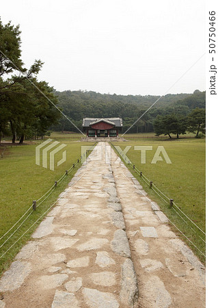 世界文化遺産 陵 朝鮮王陵 50750466