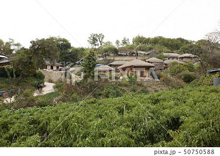 韓国 慶北 良洞民俗村 50750588