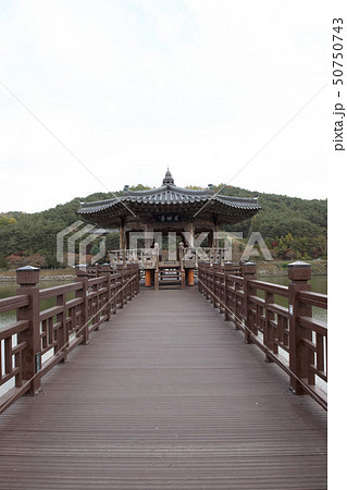 ウォルヨウンギョ 韓国 慶北 50750743