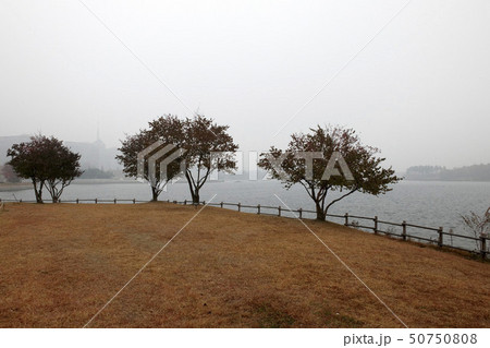 湖公園 湖水公園 韓国 50750808