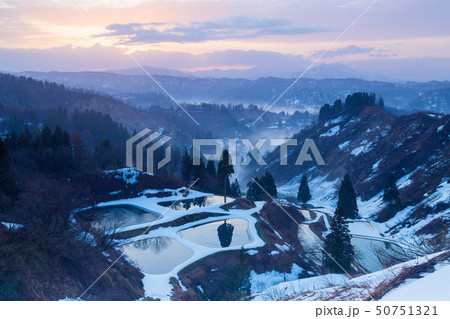 新潟県長岡市山古志 残雪の棚田と養鯉池の朝焼け風景 新潟県長岡市山古志 残雪の棚田と養鯉池の朝焼け風景 50751321