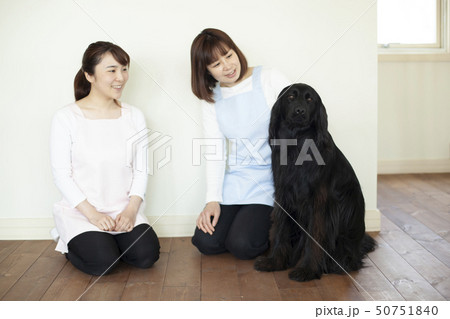 ペット ペット 50751840