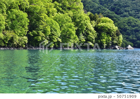新緑の中禅寺湖の千手ヶ浜 50751909