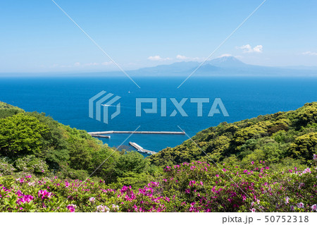 春の海と山 春の海と山 50752318