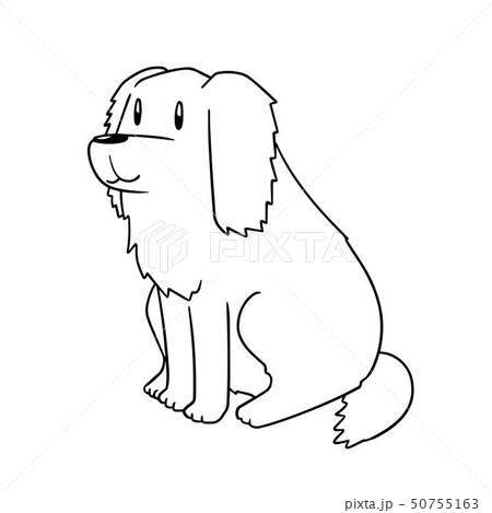 vector of dog, golden retriever vector of dog, golden retriever 50755163