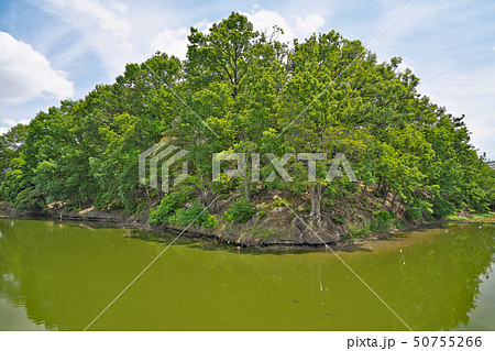 【永山古墳】 大阪府堺市堺区東永山園 【永山古墳】 大阪府堺市堺区東永山園 50755266