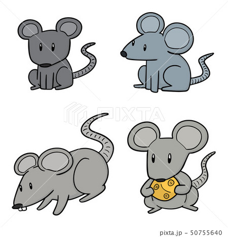 vector set of mouse 50755640